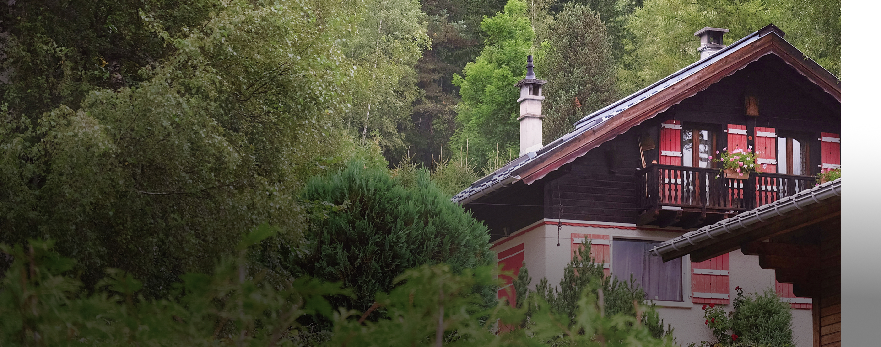 Beautiful traditional house in a lush forest